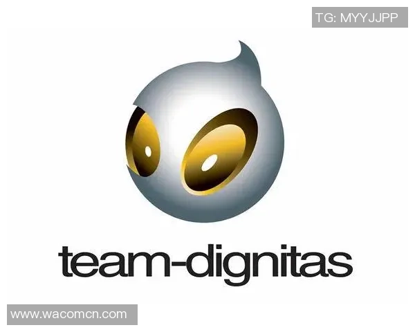 CSGO战术解析：深入探讨IG战队的阵地战策略与执行技巧